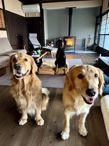 ���@�[�W�����Ⴂ