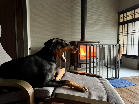 ������Ɩ���