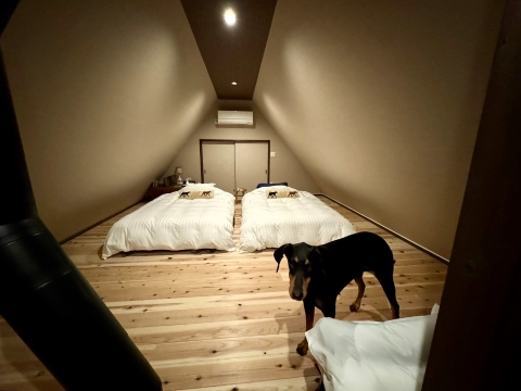 �����������̐Q����T��