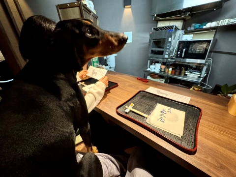 �Ȃɍ����ċ󐅂��҂�