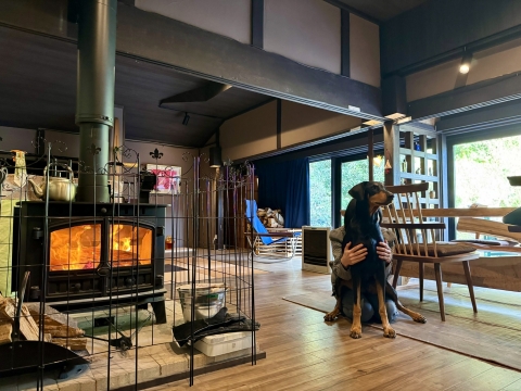 �d�X�g�[����������g�����Ȃ��Ă���