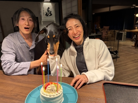 �P�[�L���͂��