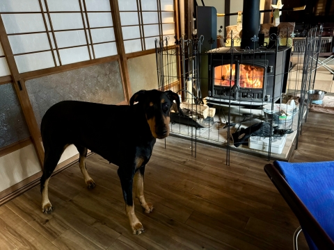 ���̐d�X�g�[��