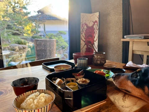 ������Ȃ��璩���͂�