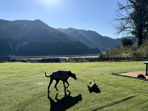 �����̉��A�]���郋�[�N