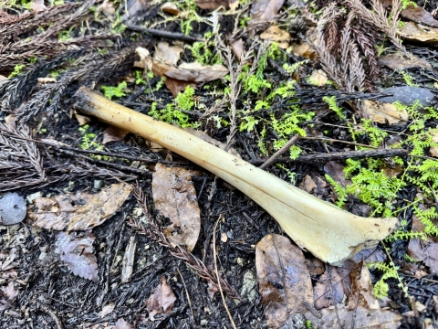 ���������̂悤�Ȃ���