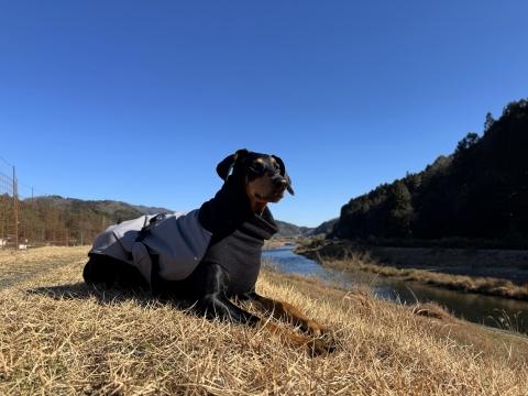 ��ѐ쉈���ł̂�т�