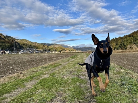 �l���𑖂�