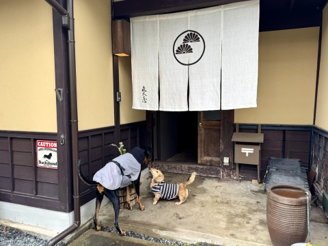 ���[�N�����o�}��