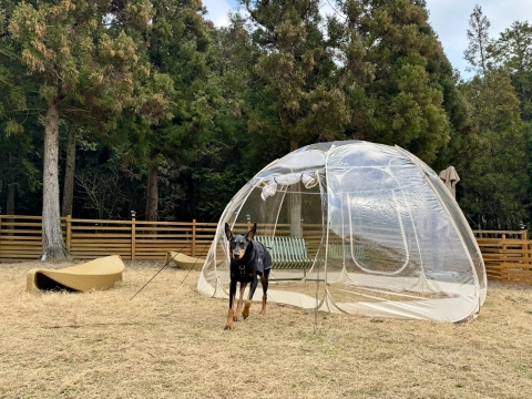 透明ドームが設置されていた 透明ドームが設置されていた