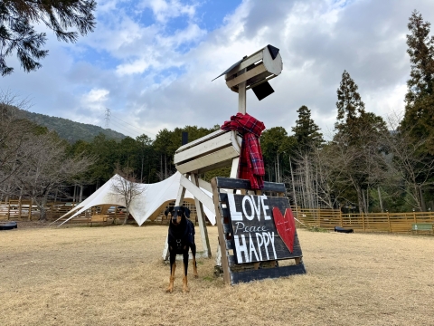 デコレーションはヴァレンタイン仕様 デコレーションはヴァレンタイン仕様