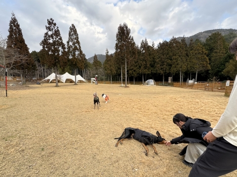 アダム&ベルは走り空水は転がる アダム&ベルは走り空水は転がる