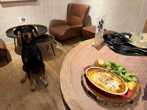 カフェで夕飯 カフェで夕飯