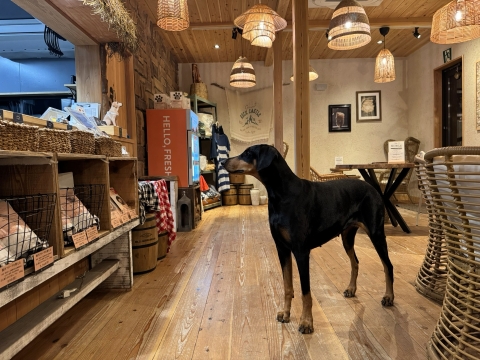 キッチンから美味いものが出てくるのをひたすら待つ キッチンから美味いものが出てくるのをひたすら待つ