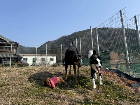 丘の上で 丘の上で