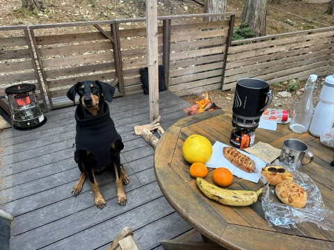 人間の朝ごはん 人間の朝ごはん