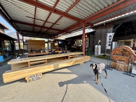 EGサイクルの一族が営む木琴へ初参上 EGサイクルの一族が営む木琴へ初参上