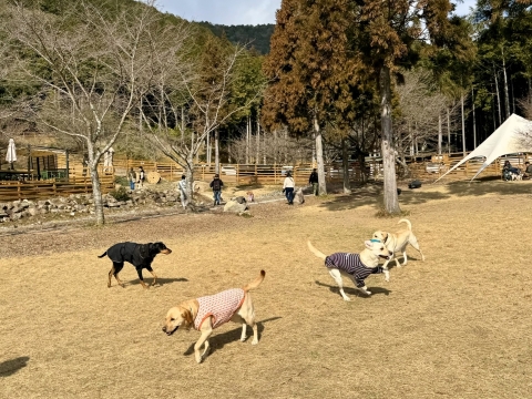さらにリックも加わった さらにリックも加わった