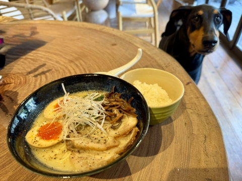 鶏白湯ラーメン 鶏白湯ラーメン
