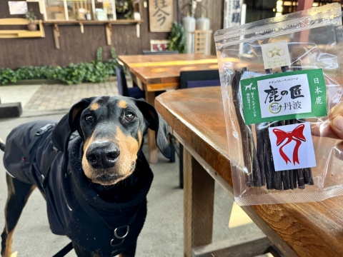 誕生日プレゼントを頂いた 誕生日プレゼントを頂いた