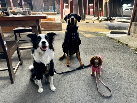 エマ&アンと3S エマ&アンと3S