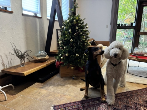 ジローにアプローチ ジローにアプローチ