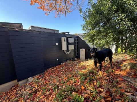 裏庭も秋の色 裏庭も秋の色