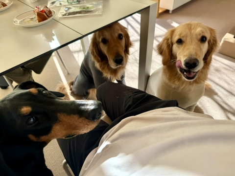 �i��&�e�B�i�Ƃ܂�����