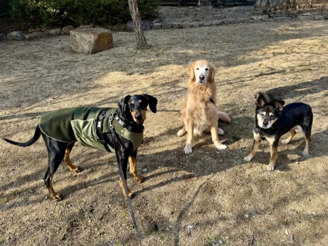 �o�f�B&���C��