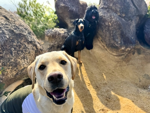 ���b�N�̔w�i�Ɖ�������2��