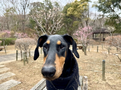 �~�тŕ����ʊ�