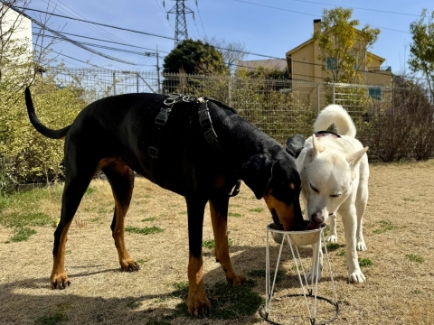 �����낤�ƒ��ǂ�����