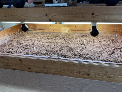 セット完了 セット完了