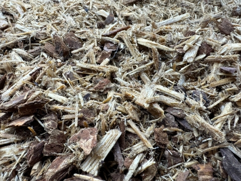 ええ塩梅 ええ塩梅