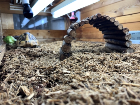 かなり深い かなり深い