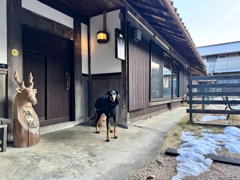 �߂����₷����