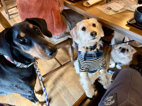 ��������