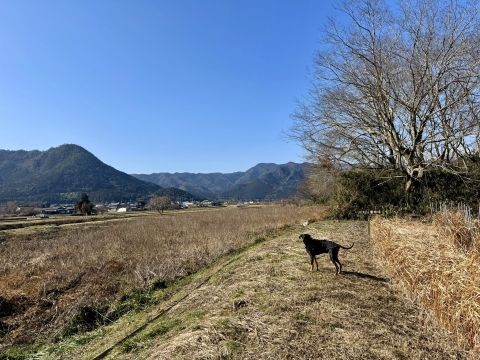 �쉈�������