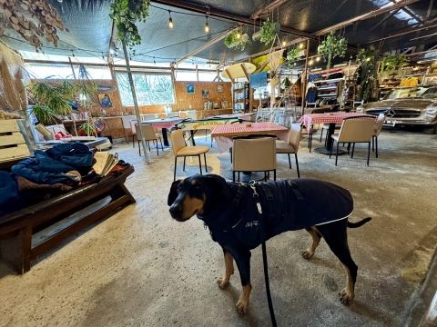 ���͂قڕω��Ȃ�