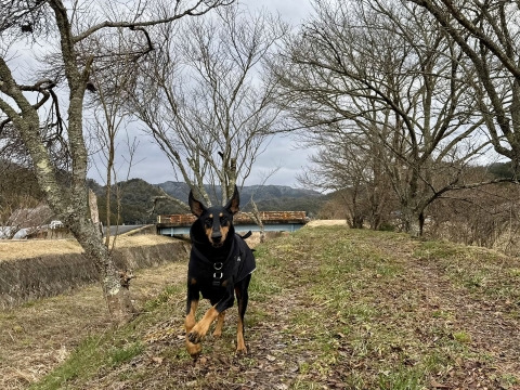 �܂��܂�����