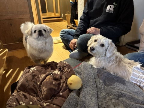 �|�^���[���Ŋ����C�Ƒ�