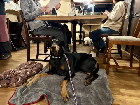 ���̎n�܂�