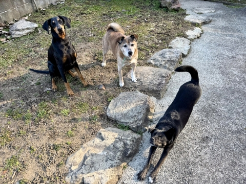 �������u���[�������b�N�X