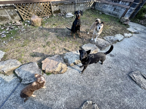 �`���R��������4S