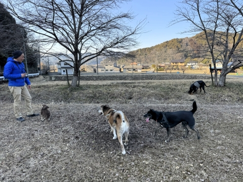 �`���R���V��ł邩�H