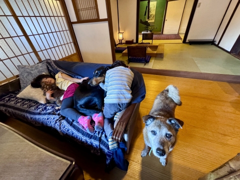 �[���̂��낲��