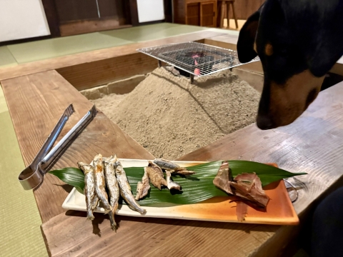 �����t�肩��X�^�[�g