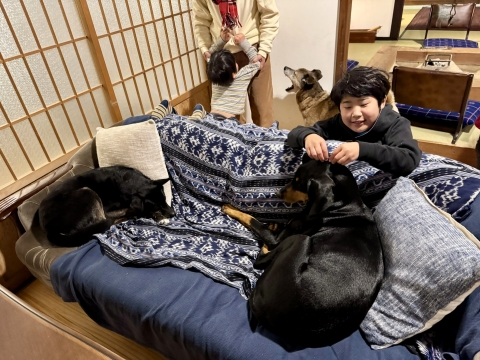 �H��̂܂�����