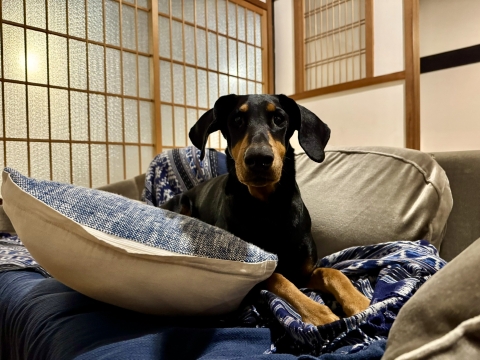 ���낻��Q�悩