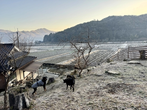 �����̒�